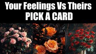 Your Feelings Vs Their Feelings | Pick A Card Timeless Psychic Reading