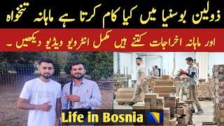 Jobs in Bosnia for Pakistani 2024 || Monthly income and Salaries || Work in Bosnia and Herzegovina