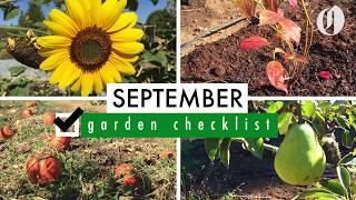 Plant perennials and vegetables, renovate your lawn, harvest fruit | September garden checklist