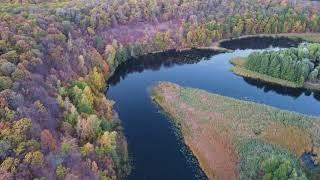 Белая гора.  Воронеж