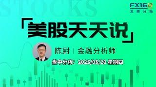 【美股天天说盘中分析0529】美国法院裁定关税政策违法市场为何并未大涨？马斯克宣布特殊政府雇员任期结束 #tsla #nvda #smh #lly #avgo