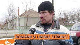 Ce LIMBI STRĂINE vorbesc românii?!  Ce-a vrut să spună autorul?