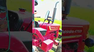 RJ 20 AWAN VLOG #tarndige #tarnd #village #viralvideo #reels #rajasthan #mahindra475