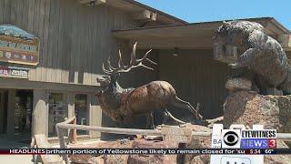 Jackson Hole seeing influx of tourists after Yellowstone closures