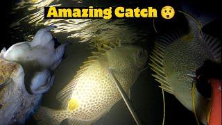 Ep5-2024 #adventure #fishing #nightdive #nightspearfishing #fish #catchandcock#adventuretime