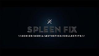 SPLEEN FIX - Night Crime