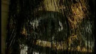 THE CASE OF THE GRINNING CAT | From filmmaker Chris Marker