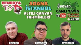 06.10.2024 Pazar Adana ve İstanbul At Yarışları Altılı Ganyan Tahminleri