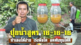 ปุ๋ยน้ำสูตร 16 16 16