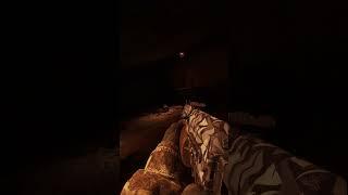 Bloodsucker | S.T.A.L.K.E.R. 2: Heart of Chornobyl