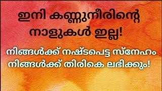 ️ നിങ്ങൾക്ക് നഷ്ടപെട്ട സ്നേഹം നിങ്ങൾക്ക് തിരികെ ലഭിക്കും! No more tears