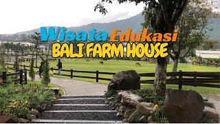 MELALI KE BALI FARM HOUSE | BALI RASA SWISS INDAH BANGET