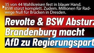 Regierungsmehrheit! Aufstieg in Brandenburg & drei Viertel der Wahlkreise fest in Hand der Blauen!