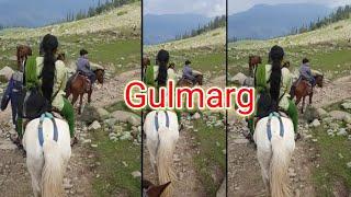 horse riding in gulmarg kashmir in summernargis ansari food