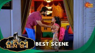 Nandini - Episode 283 | Best Scene | Odia Naagin show | Sun Odia