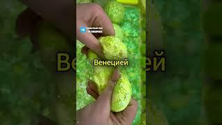 Эти факты ты точно не знал  #интересно #познавательно #факты