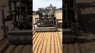 #잔디 #farming #잔디깎기 #잔디심기 #잔디관리