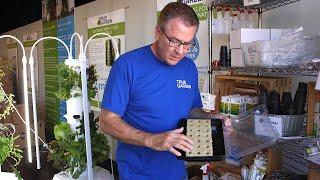 Tower Garden Germinating Seeds in Rockwool | True Garden