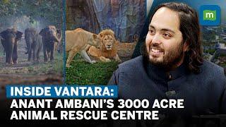 Inside Vantara: Anant Mukesh Ambani’s 3000 Acre Animal Rescue & Rehabilitation Centre | Interview