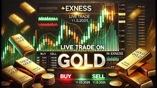 Live trade on Standard account in Exness broker in XAUUSD on 11.03.2025