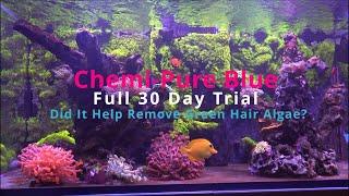 Chemi-Pure Blue Full 30 Day Trial Did It Help Remove Green Hair Algae?