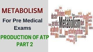 Metabolism Of Glucose for Pre-Medical Exams : Production of ATP Part 2