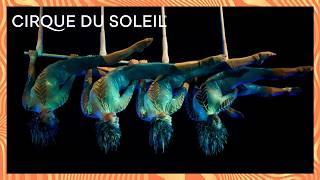 60 - MIN SPECIAL | Mystère, Delirium & Varekai | Cirque du Soleil