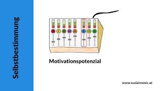 PERMA-SL. Selbstbestimmung - Das Motivationspotenzial