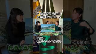 【家呑み日本酒とつまみ3】山口編③「五橋five ショート 岩国れんこんのきんぴら」 #サケノカゲキ #料理 #日本酒 #サケノカゲキ #料理 #日本酒 #地酒 #グルメ #利き酒 #地酒 #グルメ