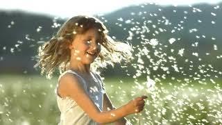 the joy of life