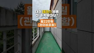 대형 테라스 원룸 이 가격 맞아요? 보증금100/월세22만원(관포) #원룸 #월세 #테라스