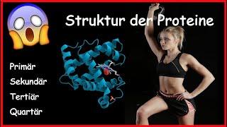 Proteine - Aufbau und Struktur einfach erklärt (Primär-, Sekundär-, Tertiär-, Quartärstruktur)