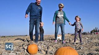 WATCH NOW: Holly View Acres corn maze and pumpkin patch aims to provide a fun, family outing