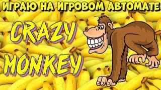 Crazy monkey играю на игровом автомате обезьянки от игрософт деп 15000 рублей