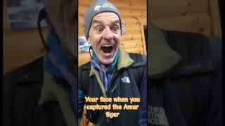 Your face when you captured the Amur tiger in the wild 