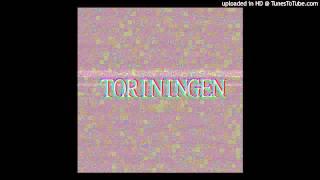 Toriningen - TORININGEN - 02 Toriningen