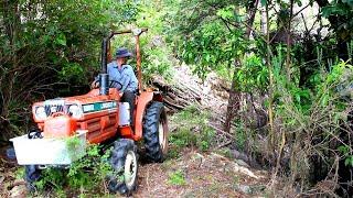 Making the salvaged Kubota mini tractor safer, then clearing an old atv trail.