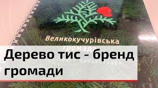Великокучурівська територіальна громада отримала бренд у рамках проєкту | C4