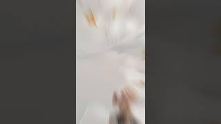 Есть признаки, говорящие о том, что ребенок грозит нарушение речи