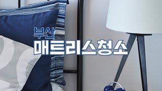 부산 김해 양산 침대 매트리스 청소 안내