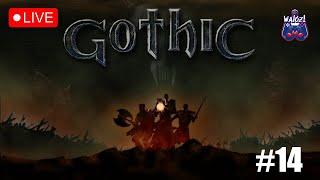 Walczi gra w: Gothic LIVE 14