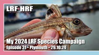 Episode 31: My 2024 LRF Species Hunt - Plymouth