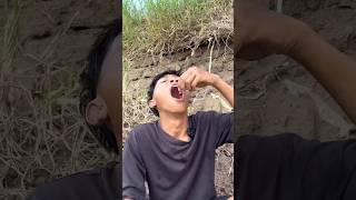 Survival skill: water purification in the wild #camping #survival #outdoors #bushcraft