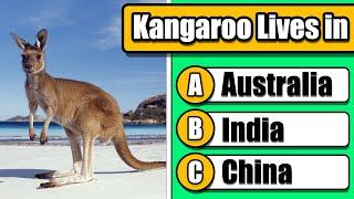 Easy General Knowledge Quiz  | 50 Fun Questions for All Ages