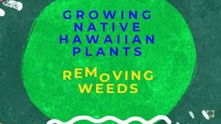 Lions Club of Kona/Konawaena High School Leo Club Environmental Project