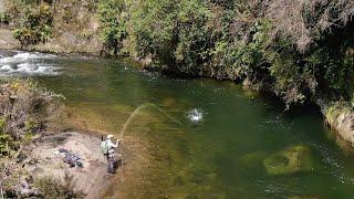 Fly Fishing THE BEST Trout River i have ever Seen!