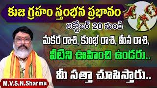 Kuja Stambhana effects on Makara Rashi, Kumba Rashi, Meena Rashi | 2024 -2025 Predictions