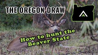 Understanding the 2024 Oregon Hunting Draw