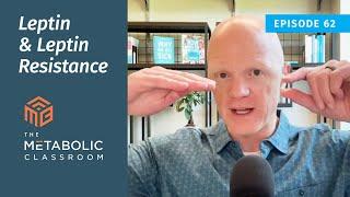 Leptin and Leptin Resistance Explained: Insights from Dr. Ben Bikman