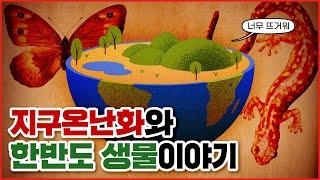 "77억마리 꿀벌 실종 사건?!" 지구온난화와 한반도 생물이야기
